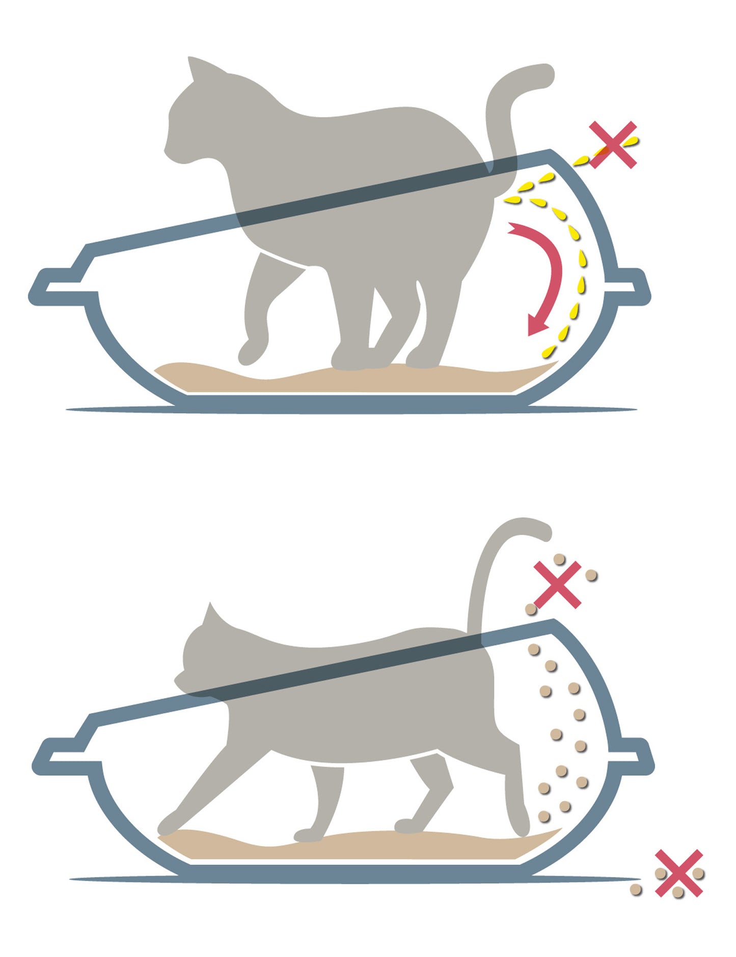 Lettiere angolare